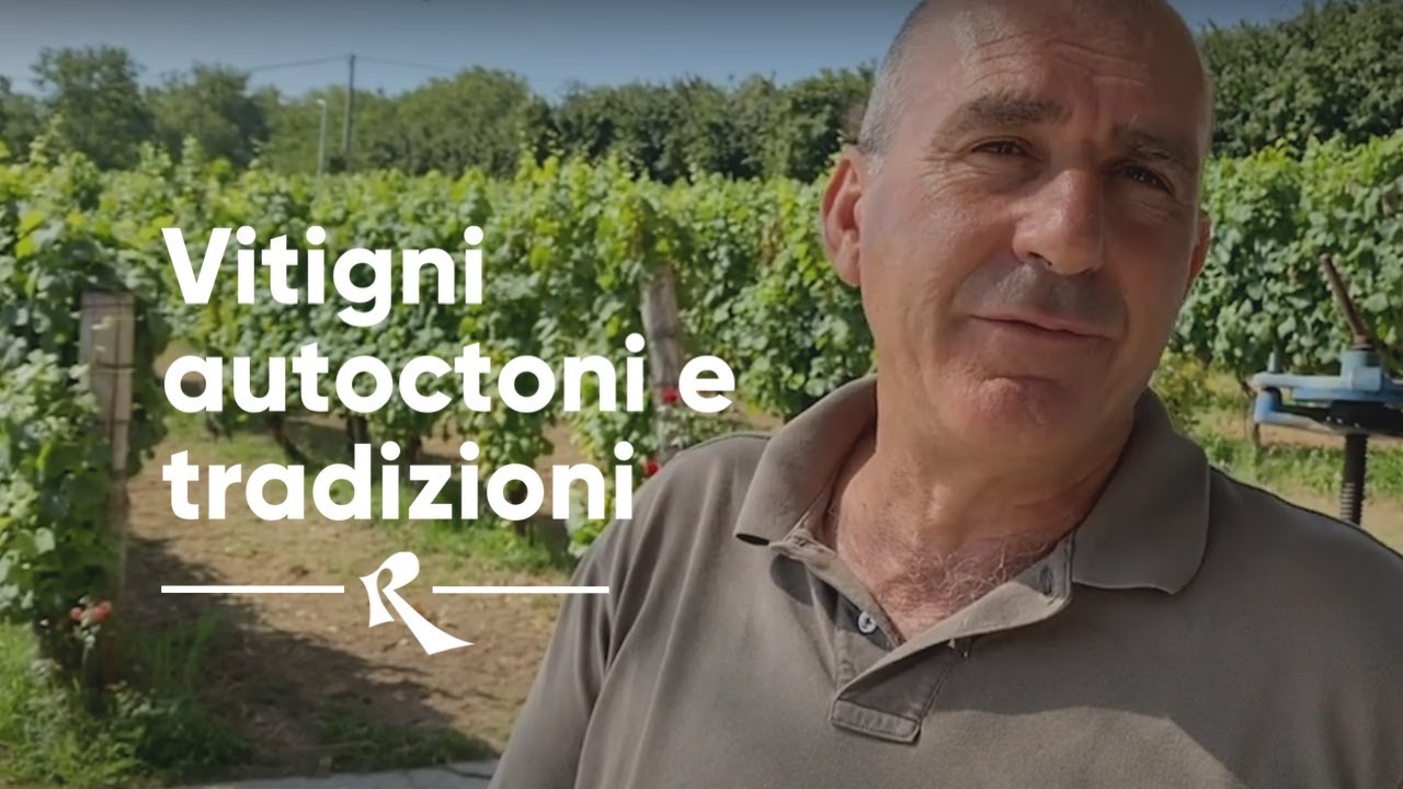 Ciro Picariello, Avellino - Vitigni autoctoni e tradizioni