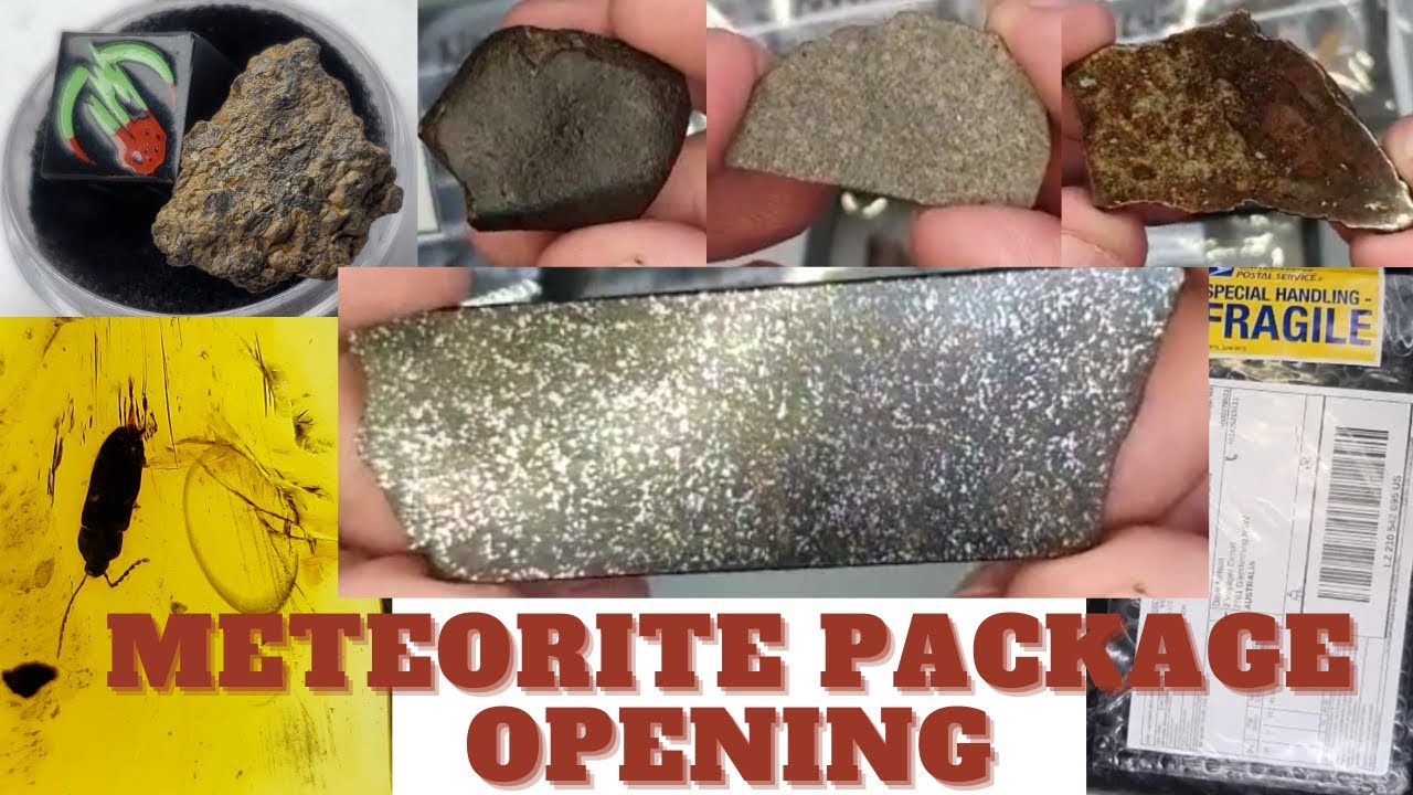 Meteorite Box Opening! Package Opening: Meteorites, Pallasite, Ureilite, Amber, Meteorites for Sale!