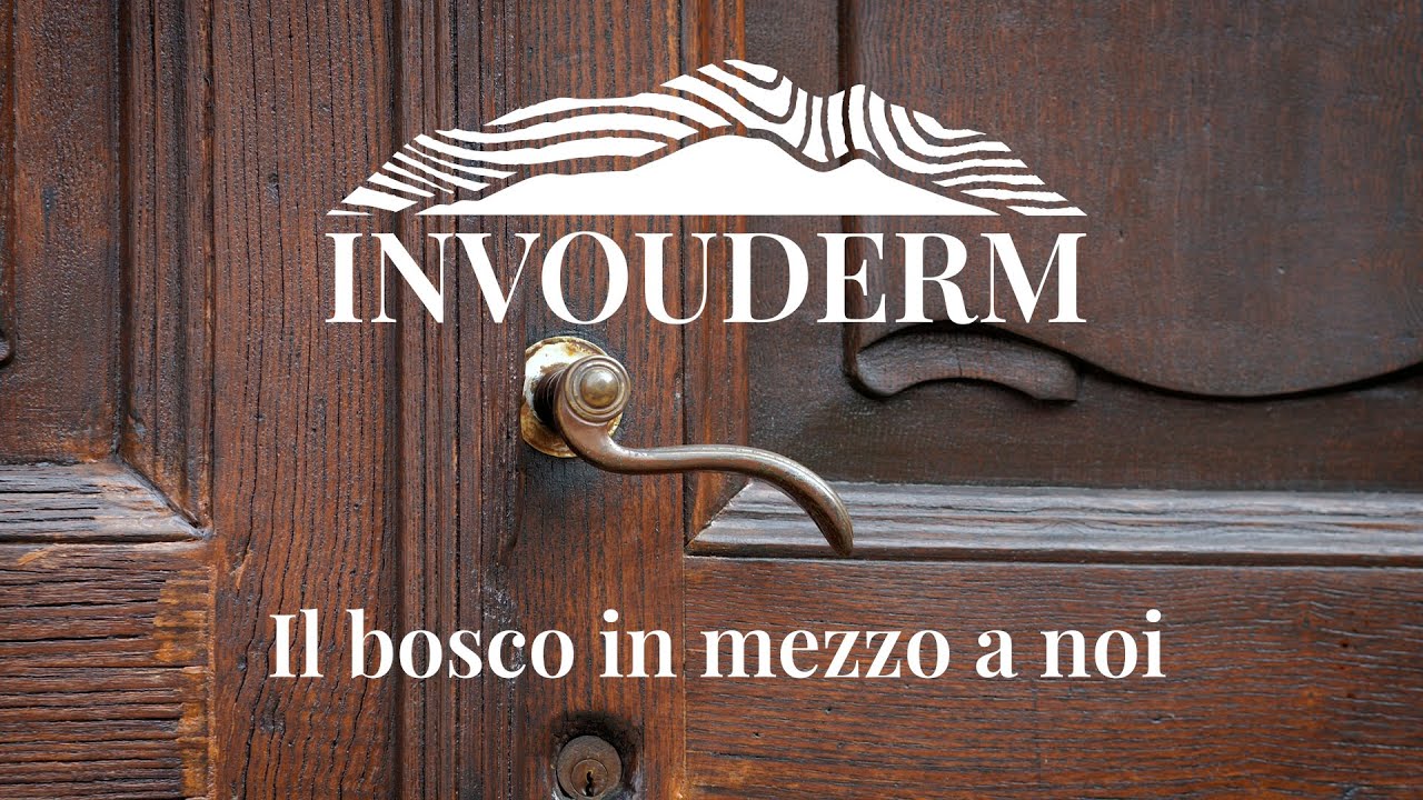 Il bosco in mezzo a noi