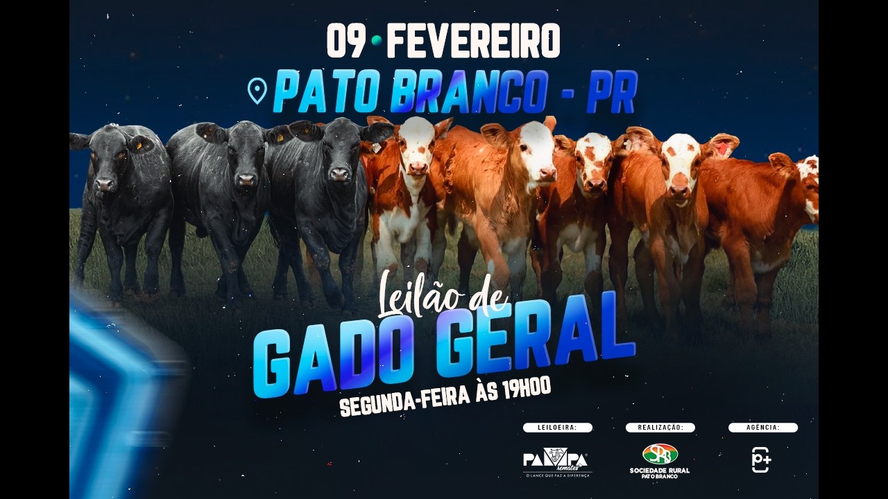 Leilão de Gado Geral, PATO BRANCO/PR - 09/02/2026 19:00h