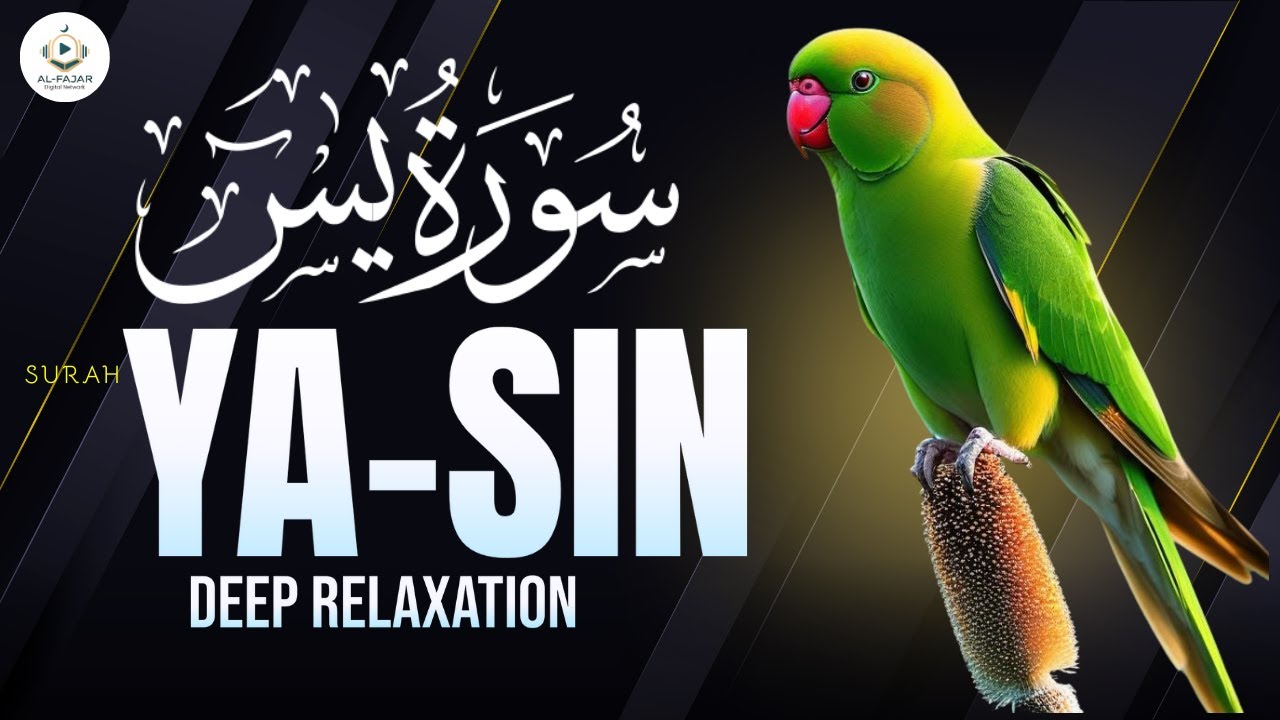 Surah Yasin | Beautiful Quran Recitation | Heart of Quran