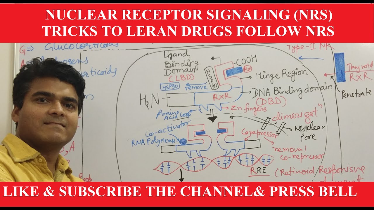 Nuclear Receptor Signaling-NRS | Structure & Function  | Mnemonics | Transcription  |  Pharmacology