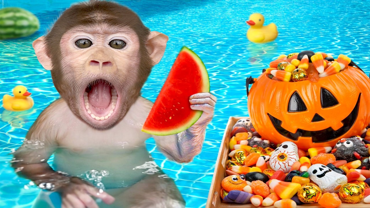 Mono Pepe explora una fiesta de Halloween en la piscina - MONO PEPE ESP