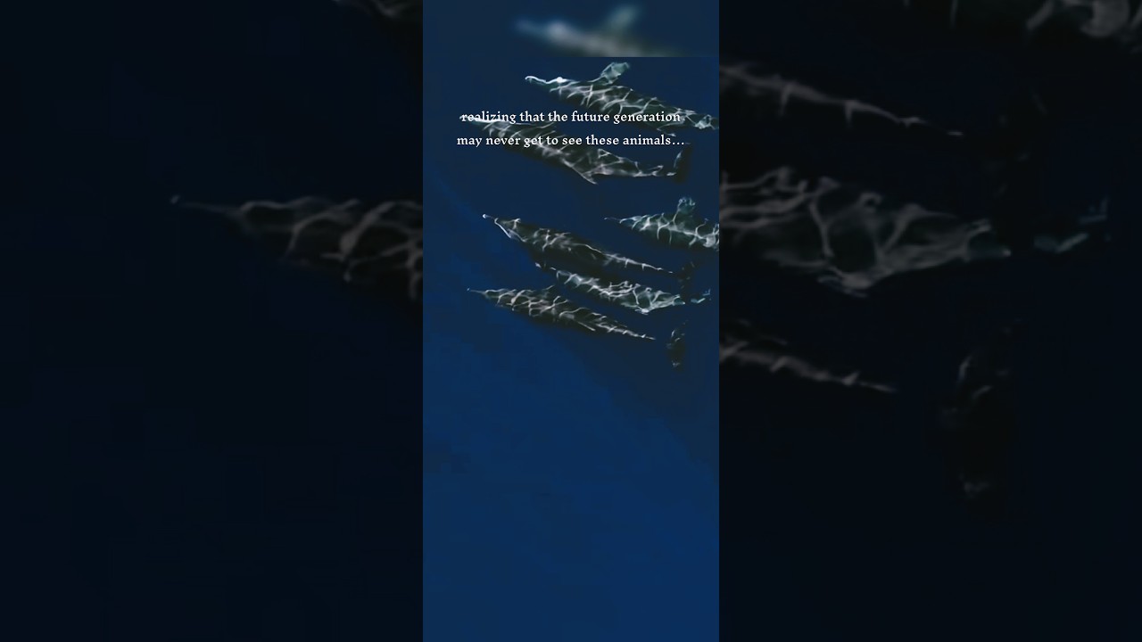 people in the future never get to see this&hellip; 😭 #ocean #beautiful #beach #viral #fyp #shorts #god
