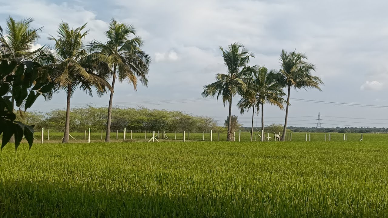 இது எங்க விவசாய நிலம்#ஜெயக்குமார் 