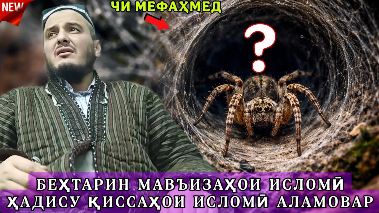 ДОМУЛЛО АКБАРЧОН АМРИ МАЪРУФ 2026 ҚИССАҲОИ ИСЛОМӢ АЛАМОВАР 