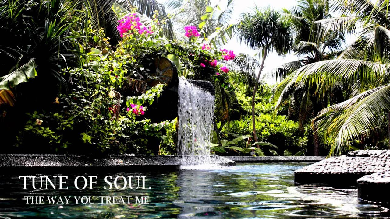 Tune of Soul - The Way You Treat Me