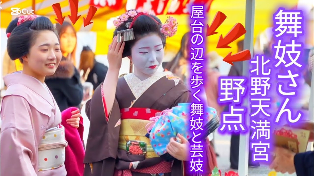 【梅の花祭•北野天満宮2025】舞妓と芸妓さんの野点‼️屋台の前で舞妓を歩く|Maiko and Geiko Live Tea Performance