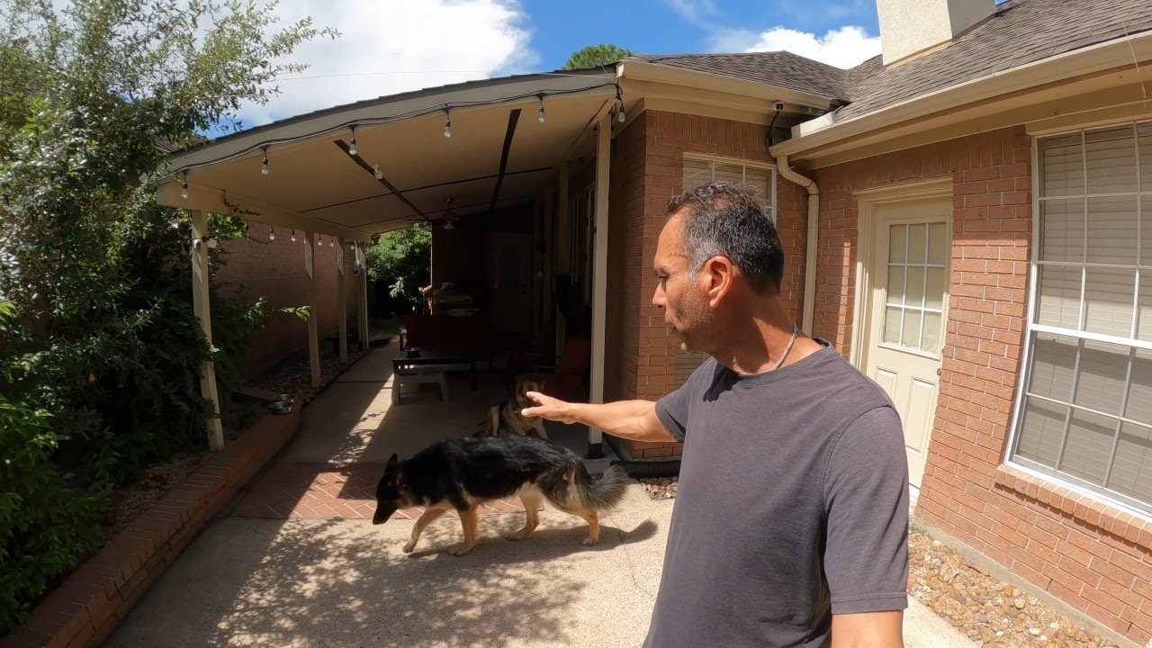 Never Challenge A German Shepherd