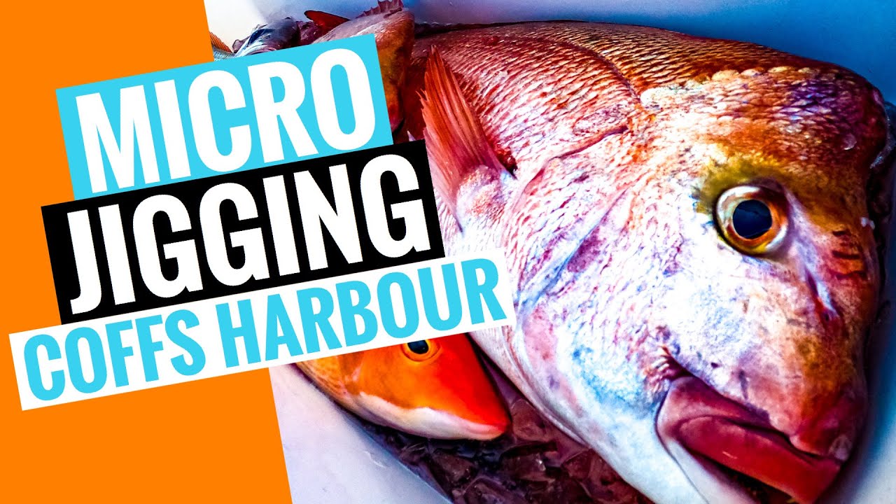 How to Micro jigging | Slow Jigging Coffs Harbour