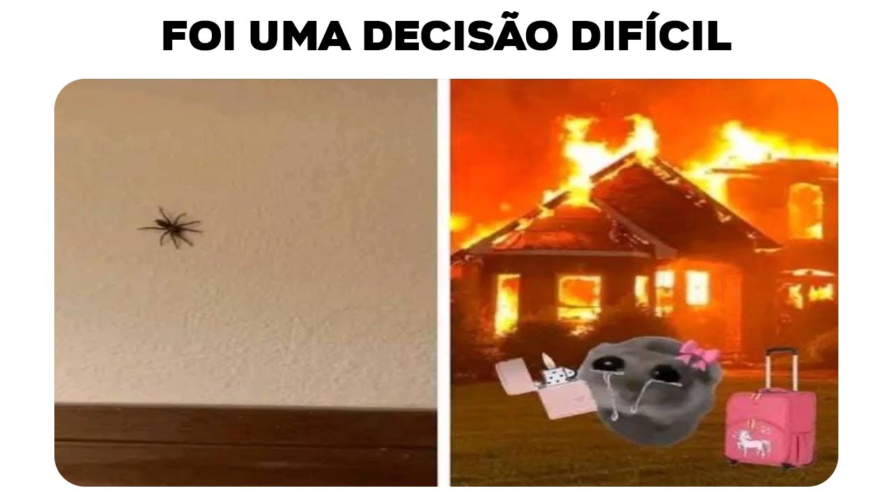 MEMES EM IMAGENS - FOI UMA DECISÃO DIFICIL