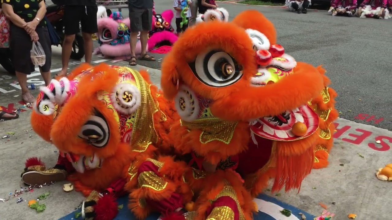 登雅龍獅體育學院 Tengah Lion Dance Cai Qing Performance at Yu Feng Hua Shan Dian 13 Nov 2022