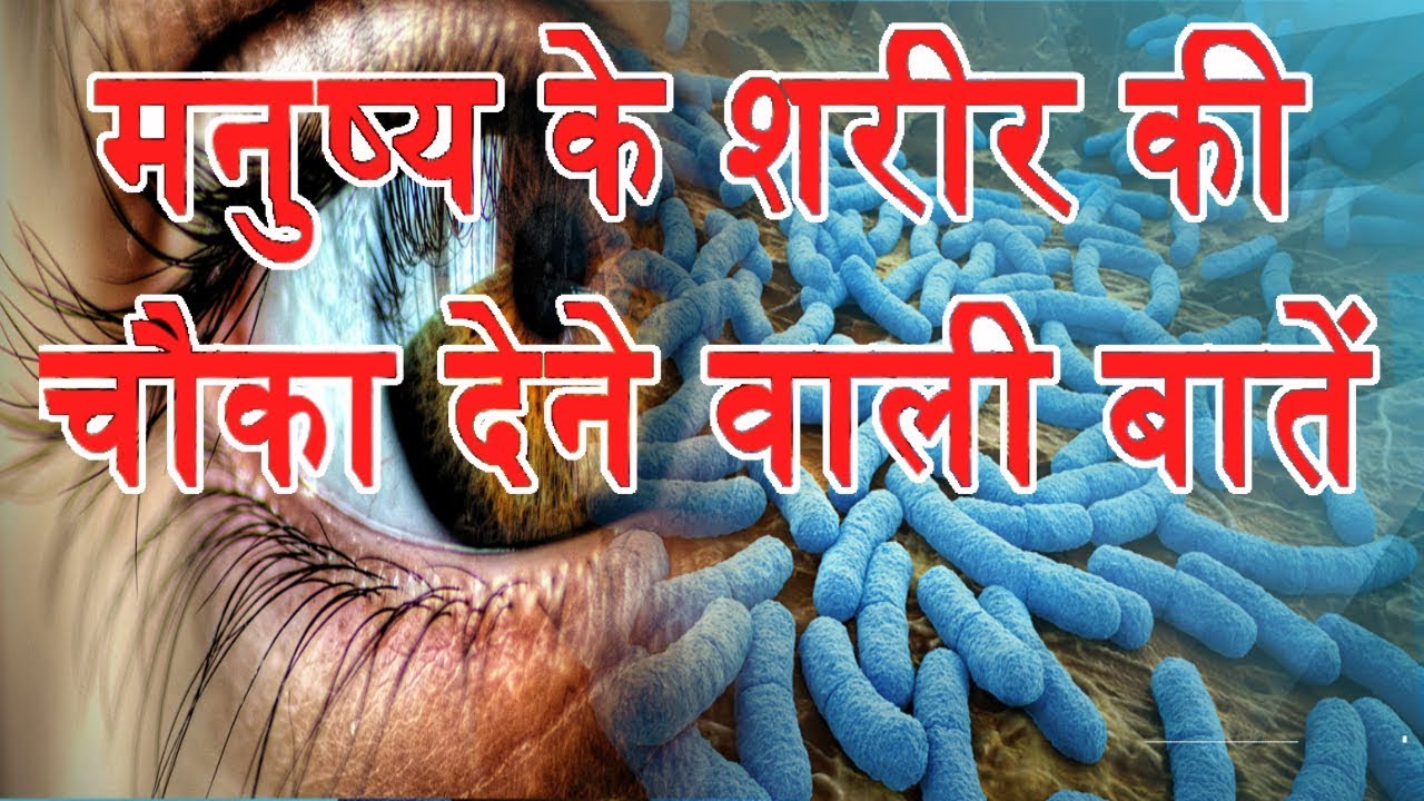 Hindi | Amazing Facts About The Human Body In Hindi