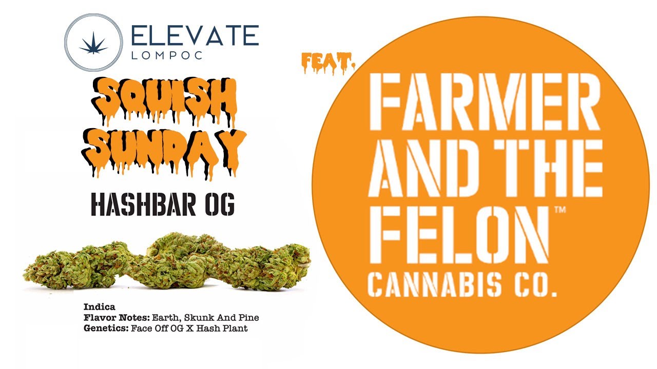 SQUISH SUNDAY - FARMER AND THE FELON - HASHBAR OG