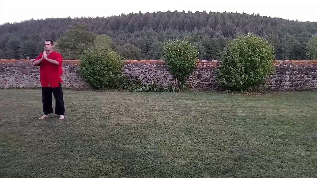 Tao du léopard