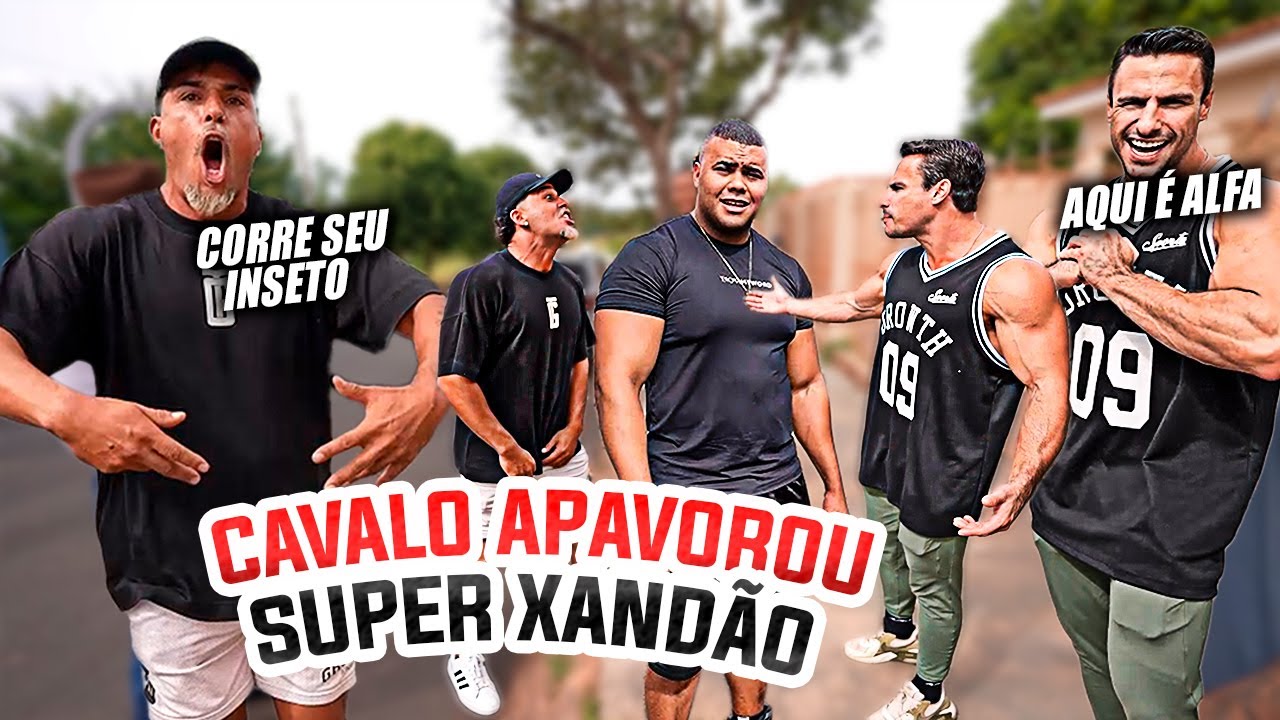 CAVALO APAVOROU XANDAO NA PORTA DE CASA COM BITELO, XUCRÃO E GUI CARIANI