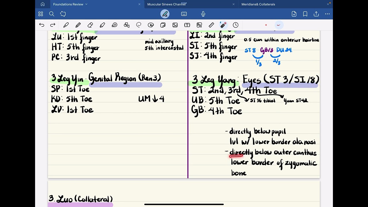 Introduction to Foundations of Acupuncture: 6 ￼Meridians/Collaterals NCCAOM Review