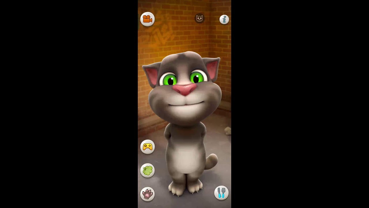 Talking Tom Cat  #shorts #livestream
