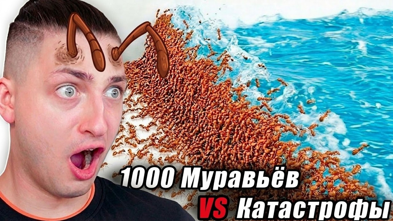 1000 Муравьев VS Стихийные Бедствия - реакция Градуса и Райма