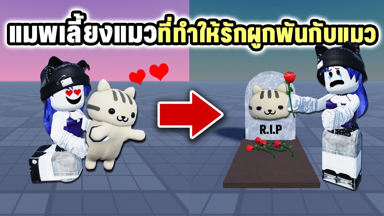 แมพเลี้ยงแมวที่ดูสมจริง😸จนทำให้รักแมวมากขึ้น | Roblox Care for Cats