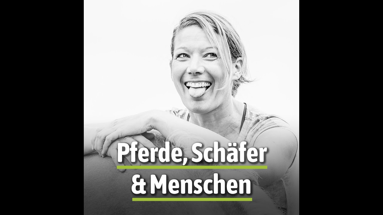 Zahlst du drauf? Preise, Wert und warum Pferdetherapie mehr sein darf als die Zeit vor Ort