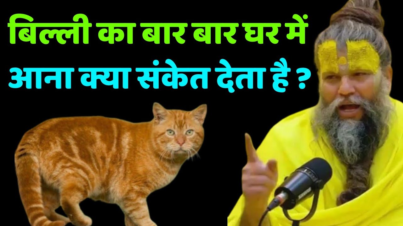 बिल्ली का बार बार घर में आना क्या संकेत देता है मेरी ये बात जान लो । Chaurasi ji ke path