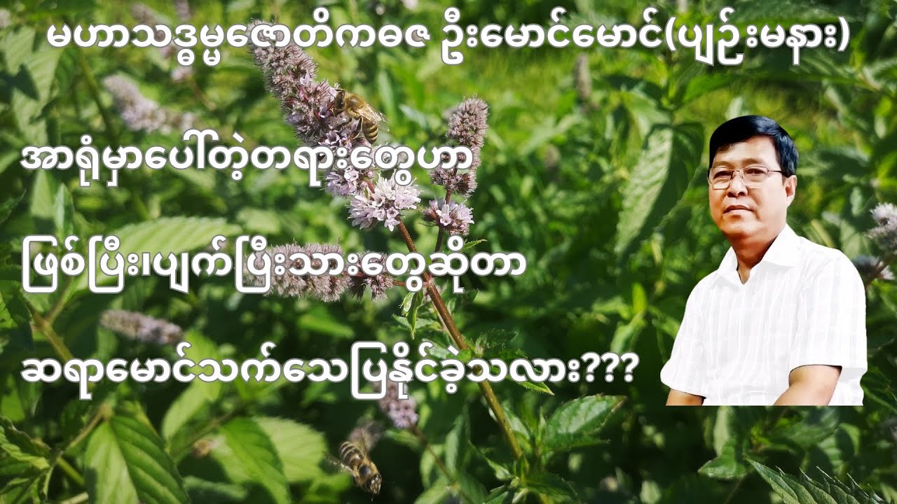 💥အာရုံမှာပေါ်တဲ့တရားတွေဟာ ဖြစ်ပြီး၊ပျက်ပြီးသားတွေဆိုတာ ဆရာမောင်သက်သေပြနိုင်ခဲ့သလား???💥