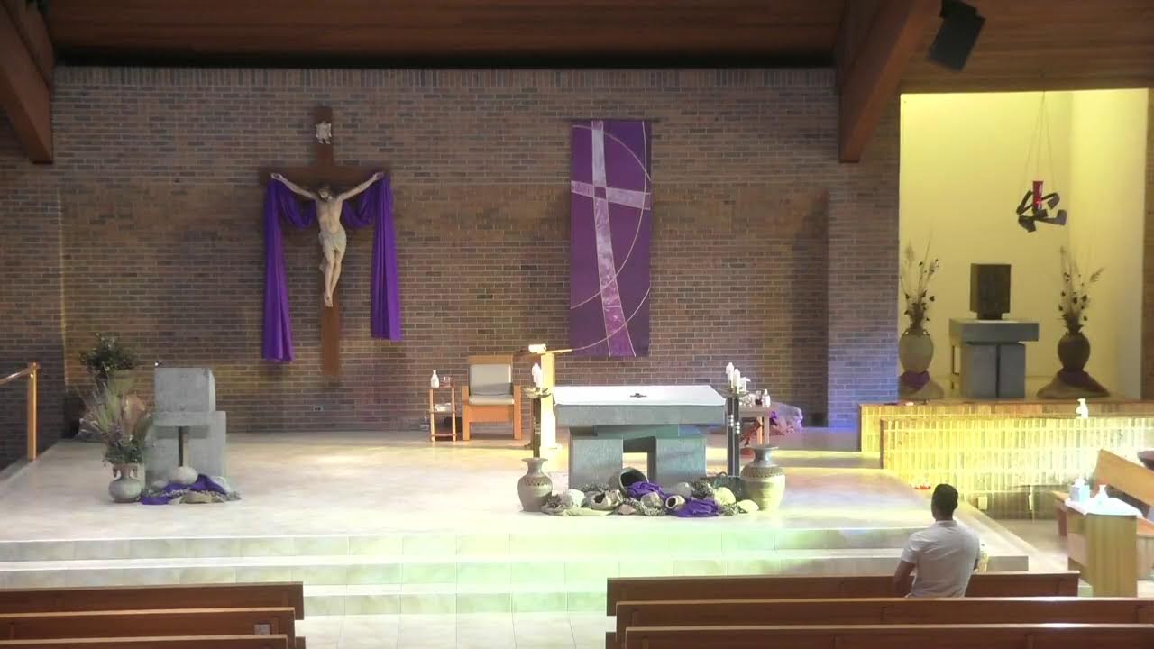Live Stream