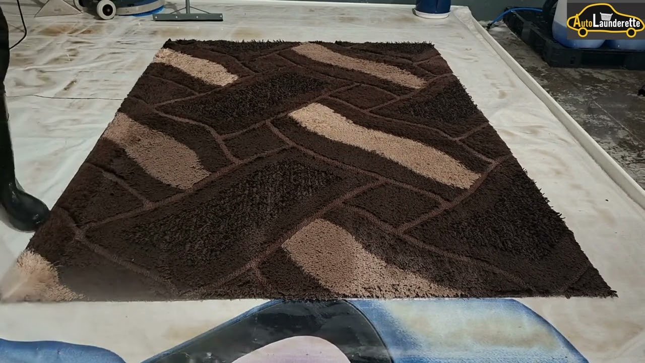 No Talking Complete Carpet and Rug Cleaning Process #asmr #oddlysatisfying #carpetcleaning