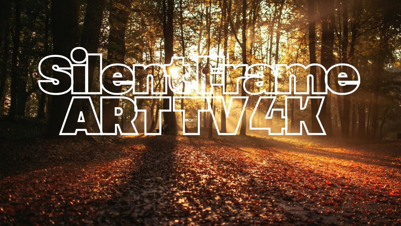 2 Hours of Silent Frame art tv: Autumn Light in the Grove wallpaper 4K