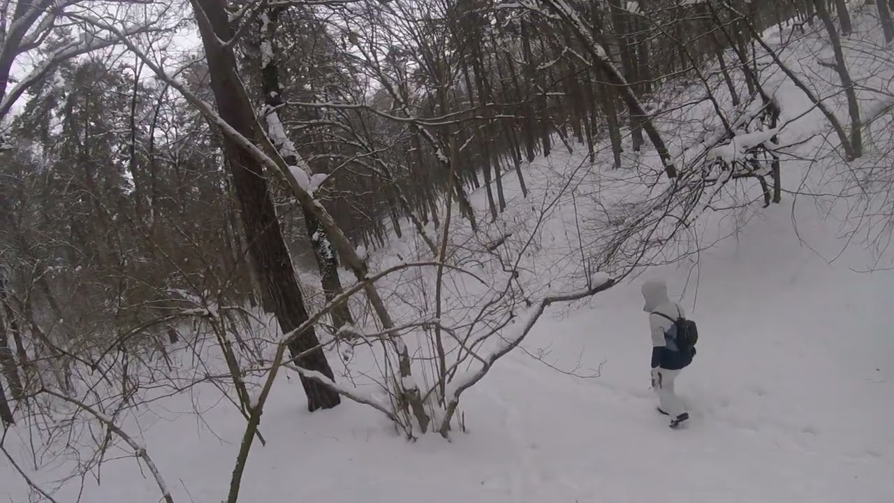 Forest ski