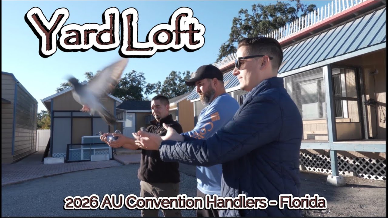 Yard Loft 2026 AU Convention Handlers Florida