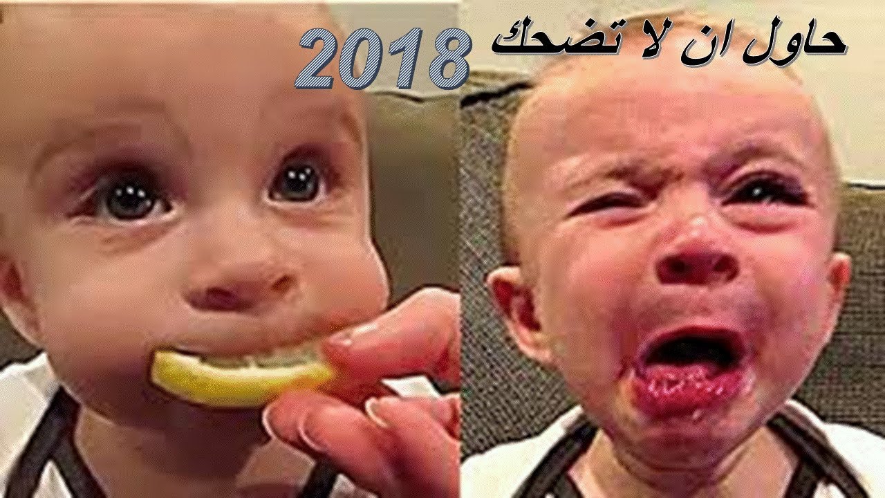 اكثر فيديوهات مضحكة مع الاطفال | حاول ما تضحك