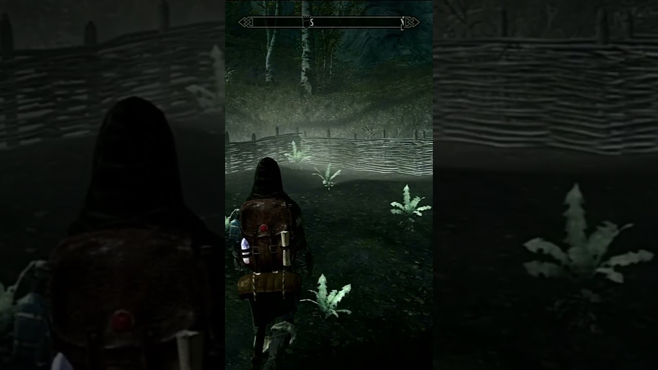 🌿 the SWEET SOUND of NIRNROOT