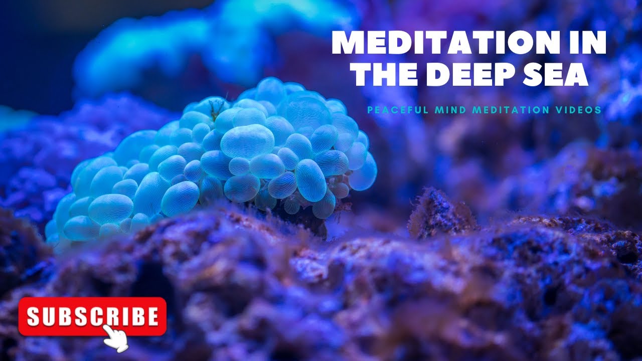 Meditation In The Ocean - A Relaxing and Calming Experience