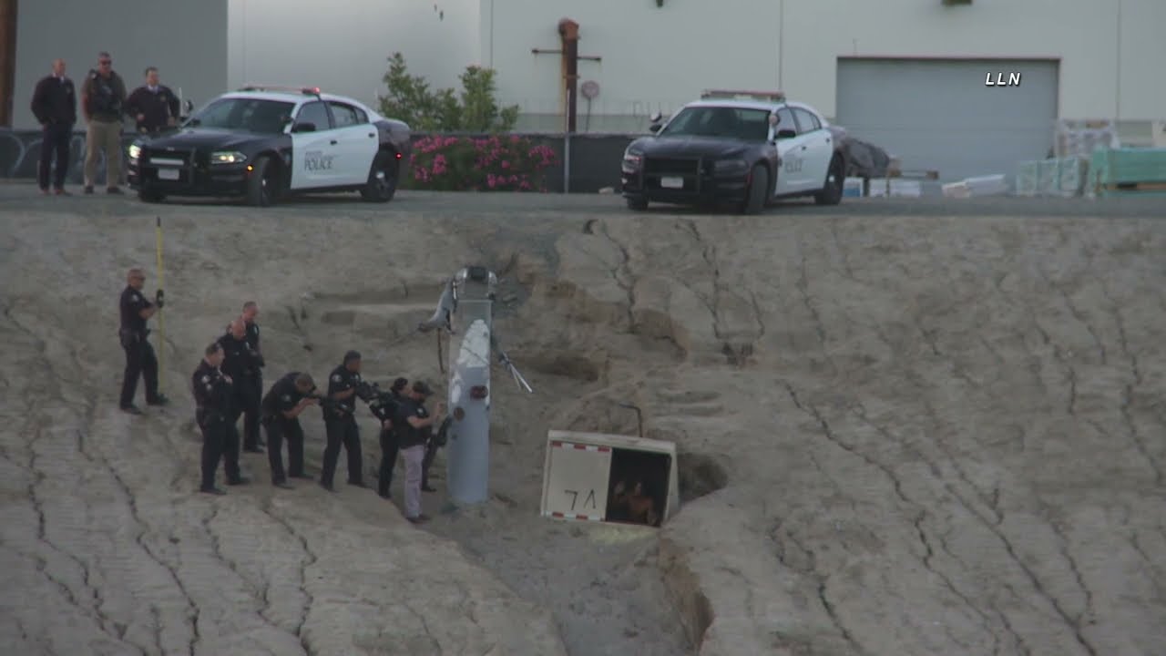 Person Found in Placentia Basin