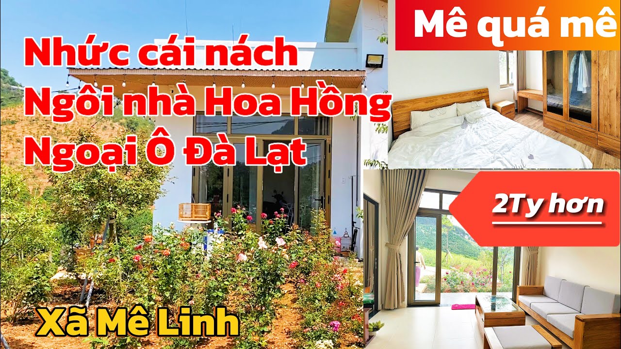 U Mê trước vẽ đẹp căn nhà Ngoại Ô Đà Lạt.