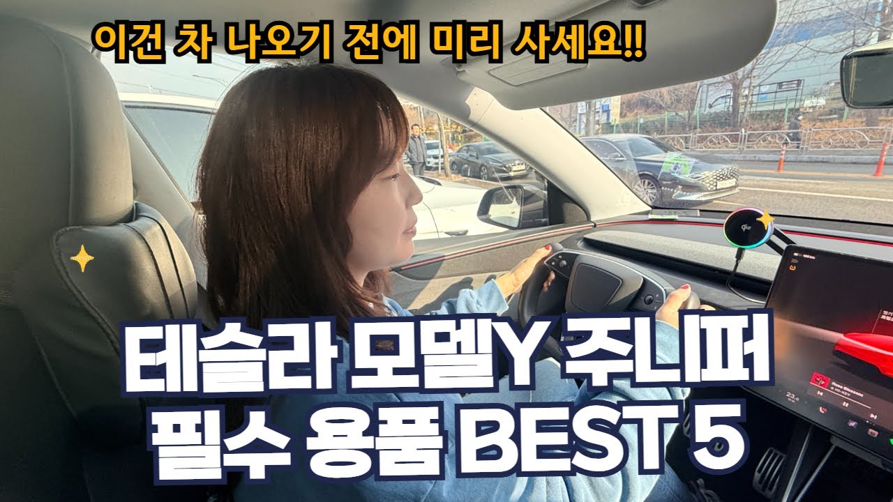 이건 꼭 사세요! - 와이프가 직접 써보고 추천하는 테슬라 필수용품 5가지