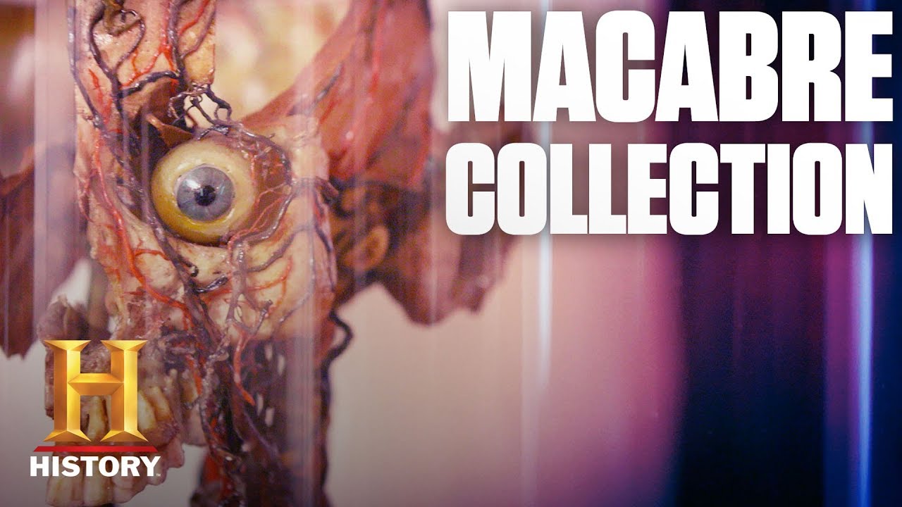 Bizarre Medical Antiques and Anatomical Oddities | Dark History
