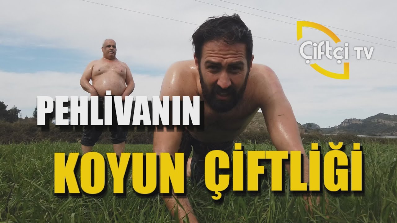 Pehlivan Koyuncunun Çiftliğindeyiz! - Çobanın Sesi