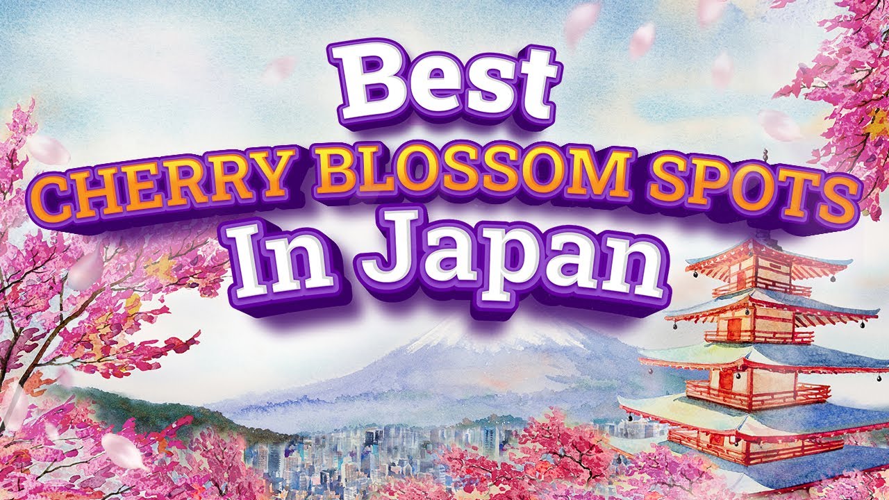 Skip the Crowds! Best Alternative Cherry Blossom Spots In Japan!