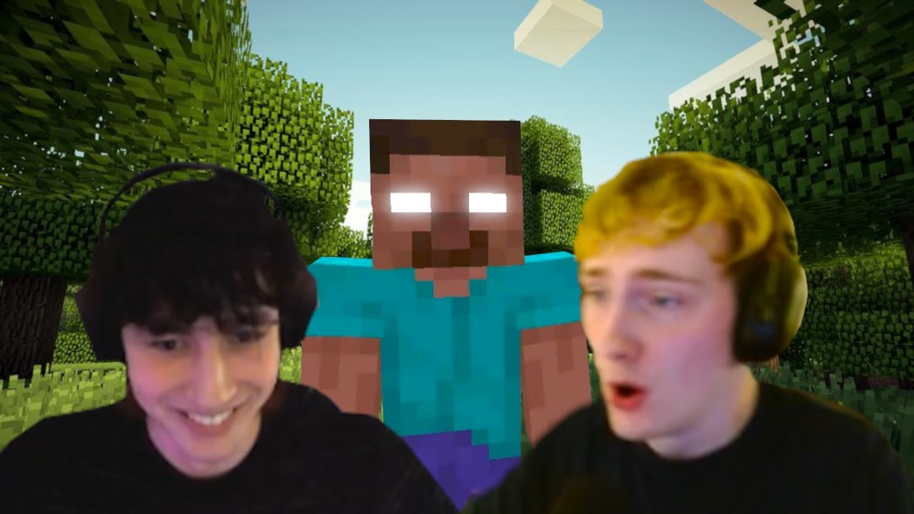 We Were SUPPOSED To Play Minecraft