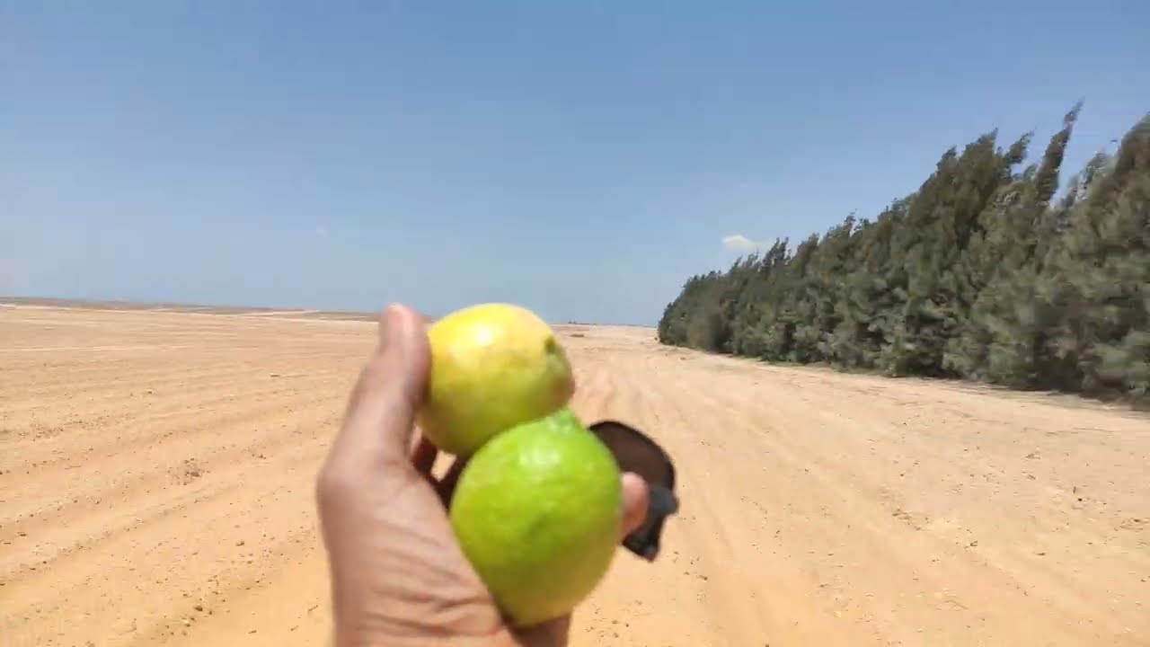 وادى النطرون 200 فدان الوادى الفارغ بعد استصلاح الارض للتقسيم والبيع باذن الله