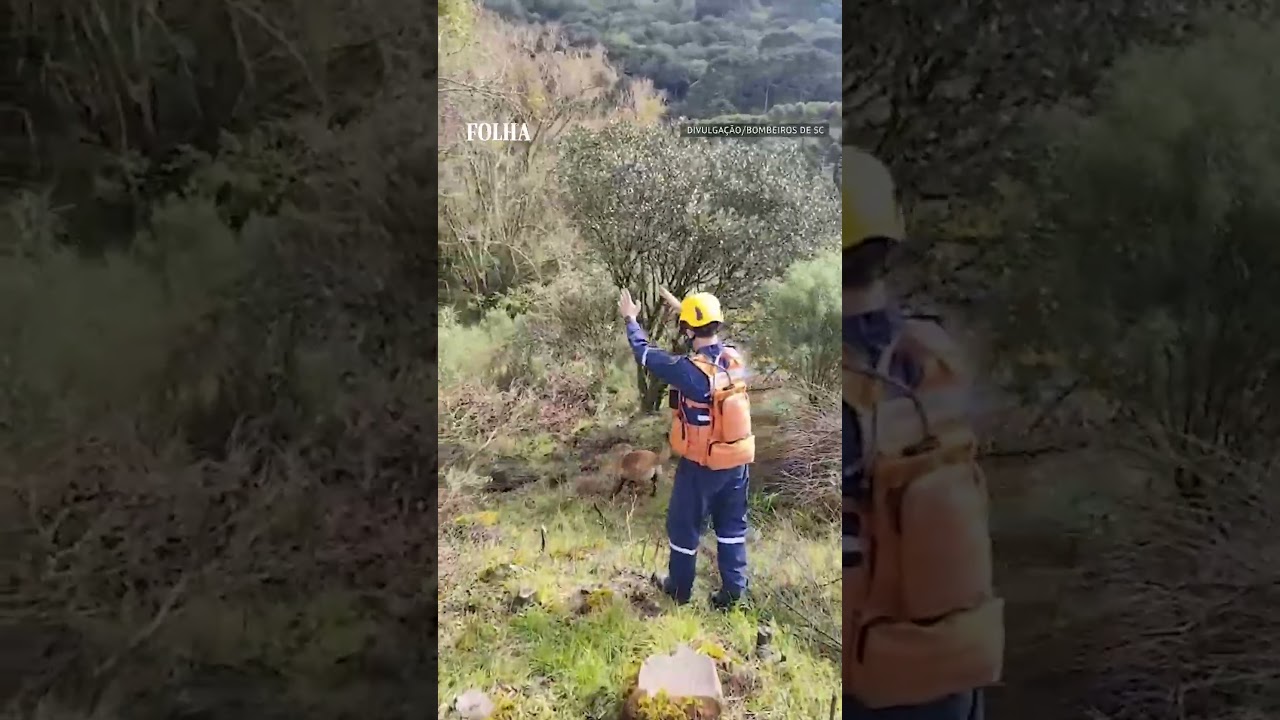 Cantor Rick bombeiros encontram destro&ccedil;os de helic&oacute;ptero