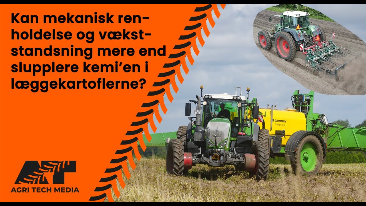 🇩🇰 Kan mekanisk renholdelse og vækststandsning mere end supplere kemi'en i læggekartoflerne?
