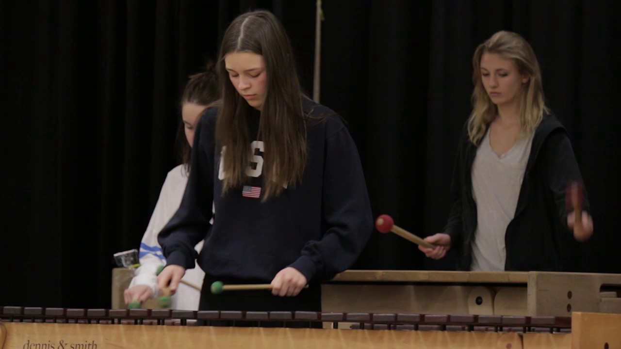 Vance Joy - Riptide - Marimba Cover