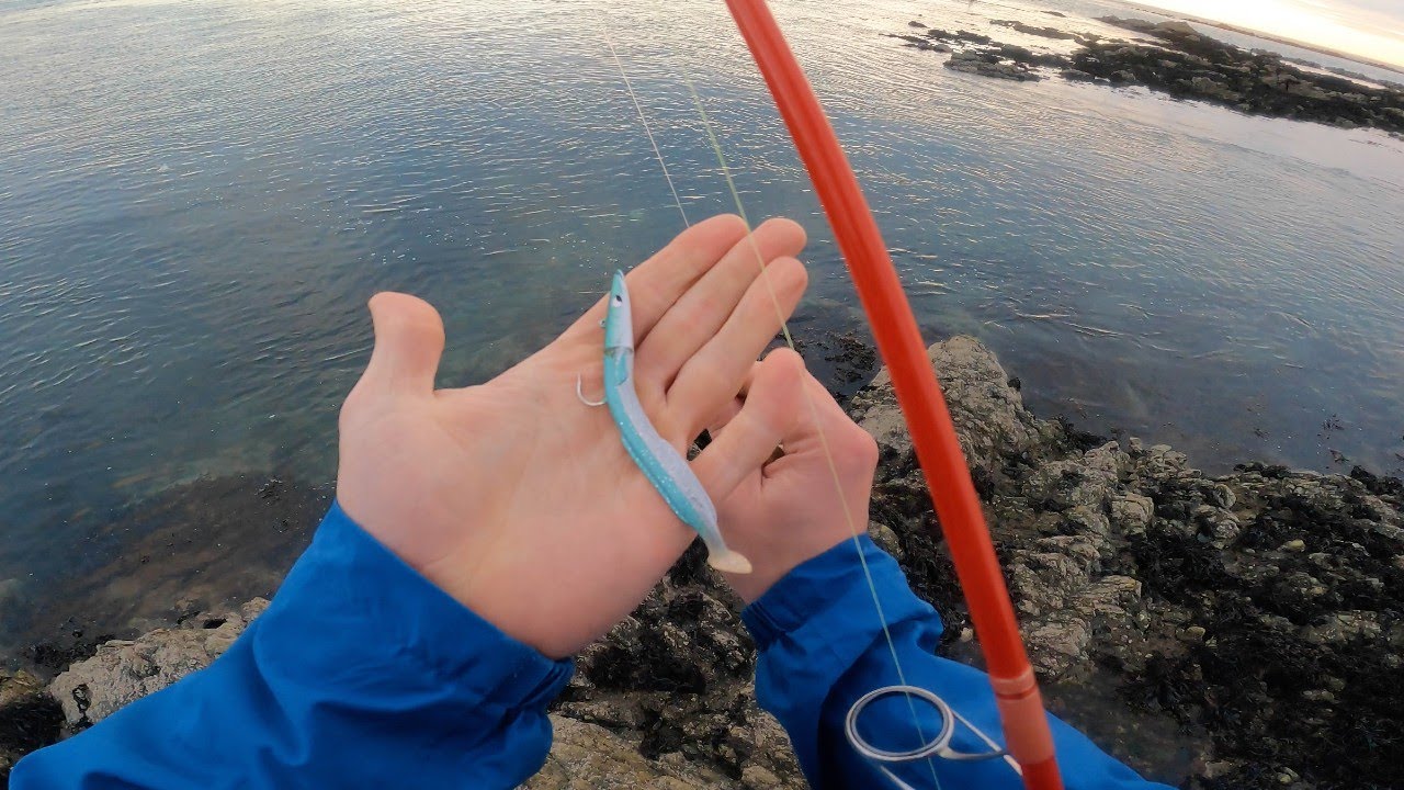 NEVER GET TO COMPLACENT | LURE FISHING SHALLOW GROUND | SEA BASS FISHING USING DIFFERENT LURES