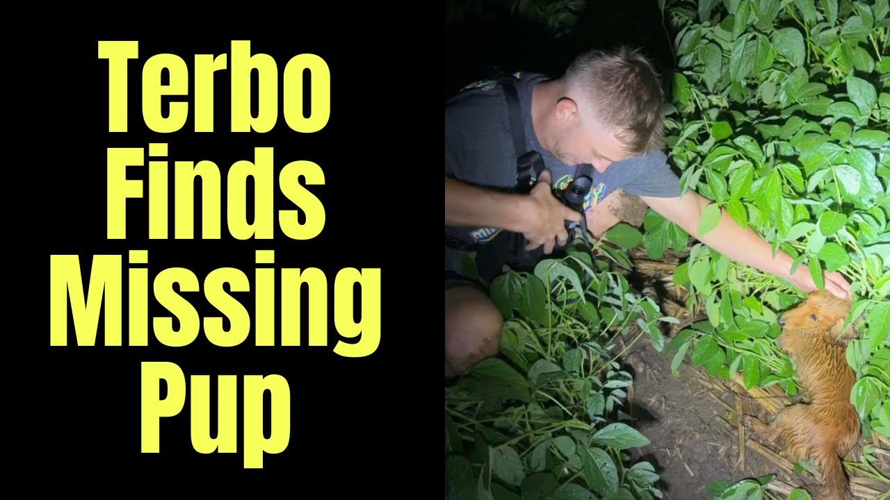 Terbo Tyler Erb Finds Missing Pup Russer