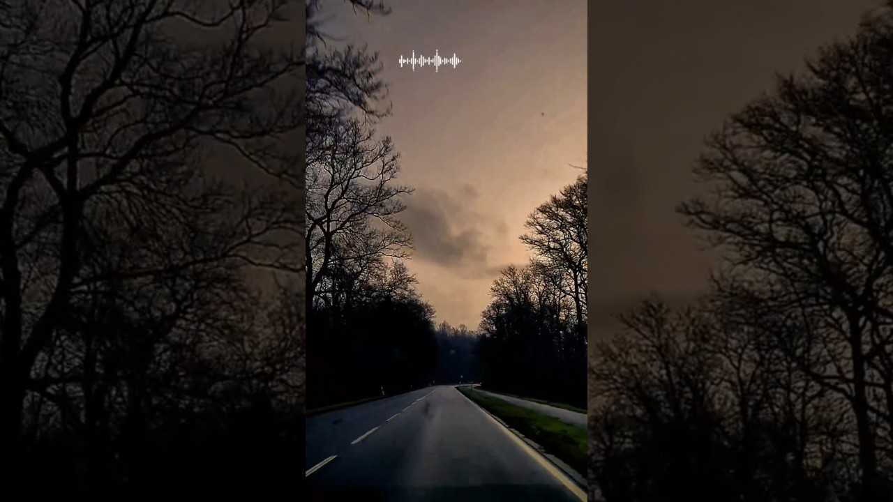 je suis une femme amoureux