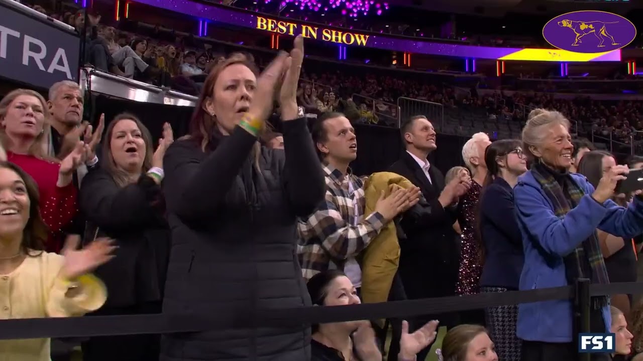 Penny the Doberman Pinscher Wins Best in Show | 150th Westminster Kennel Club Dog Show